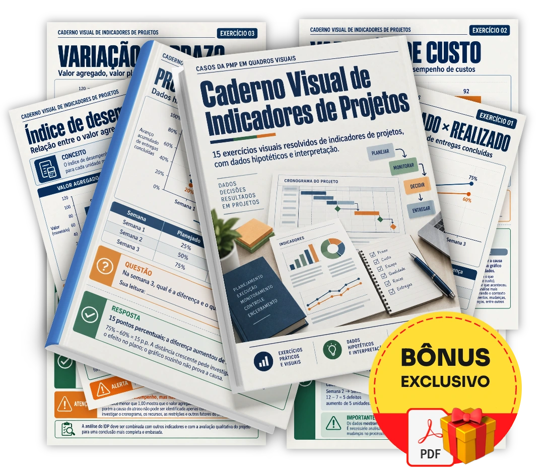 Caderno Visual de Indicadores de Projetos